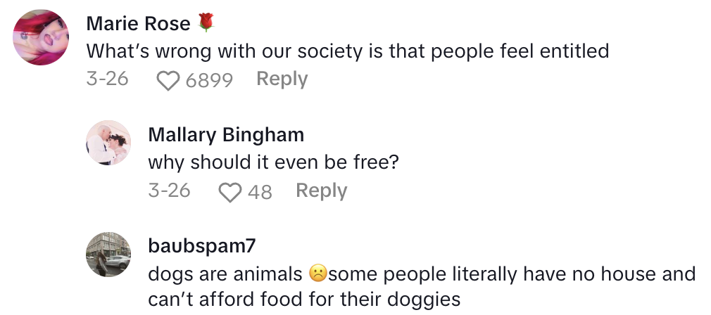 Screenshot 2025 05 04 at 6.37.31 PM A Dog Owner Found Out That Dairy Queen Is Now Charging Customers For Pup Cups